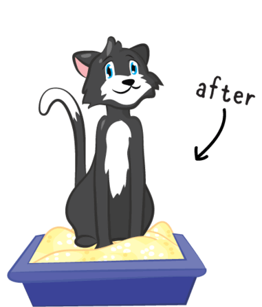 A cat sitting in a litter tray